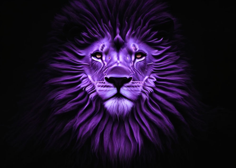 Vivid Purple Lion Face with Glowing Yellow Eyes on Black Background