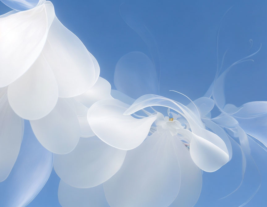 Abstract white flower petals on serene blue background