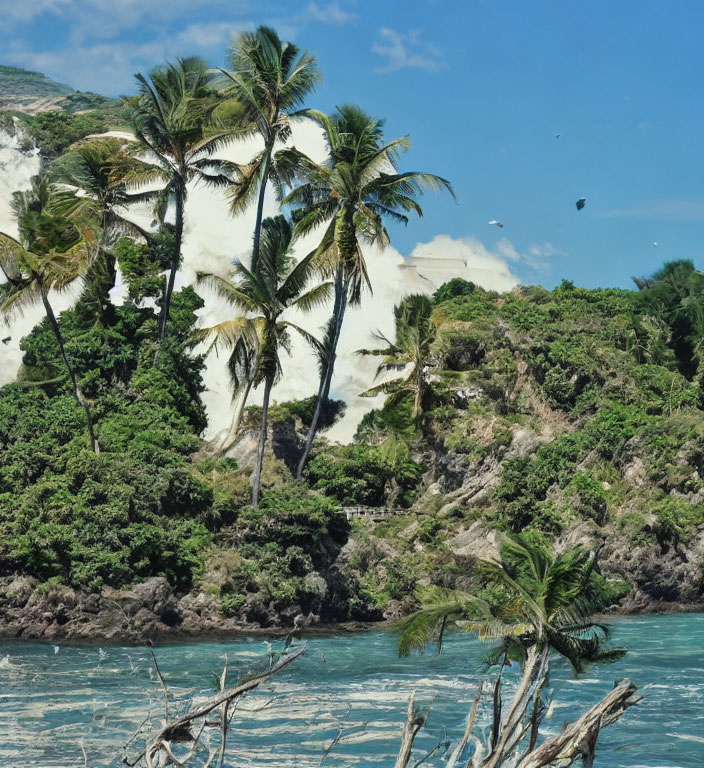 Tropical Coastline with Palm Trees and Turquoise Waters