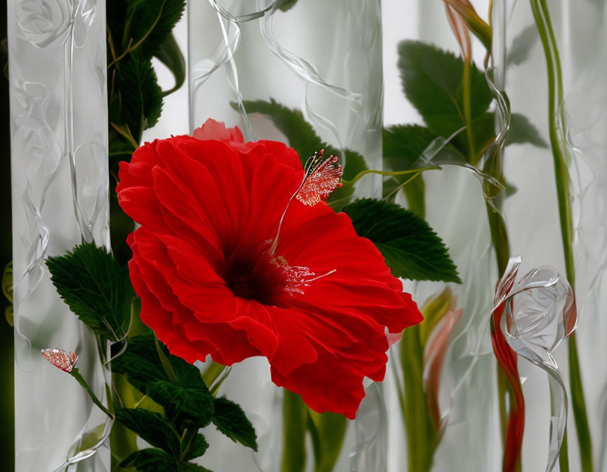 Vibrant red hibiscus flower with long stamen against white curtains