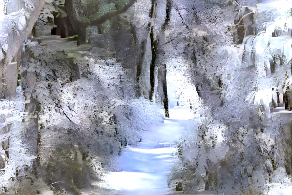 Forest Snow