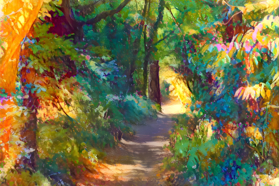 Forest path