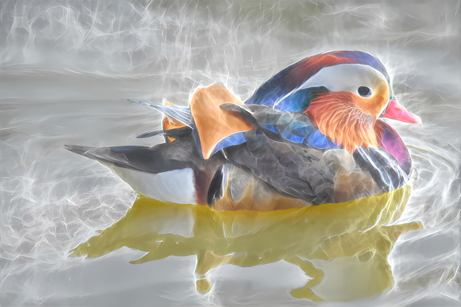 Mandarin Duck on a pond