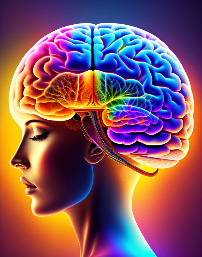 Woman's profile with colorful brain illustration