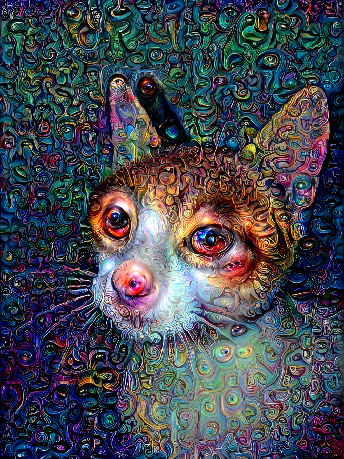 Psychedelic dream kitten