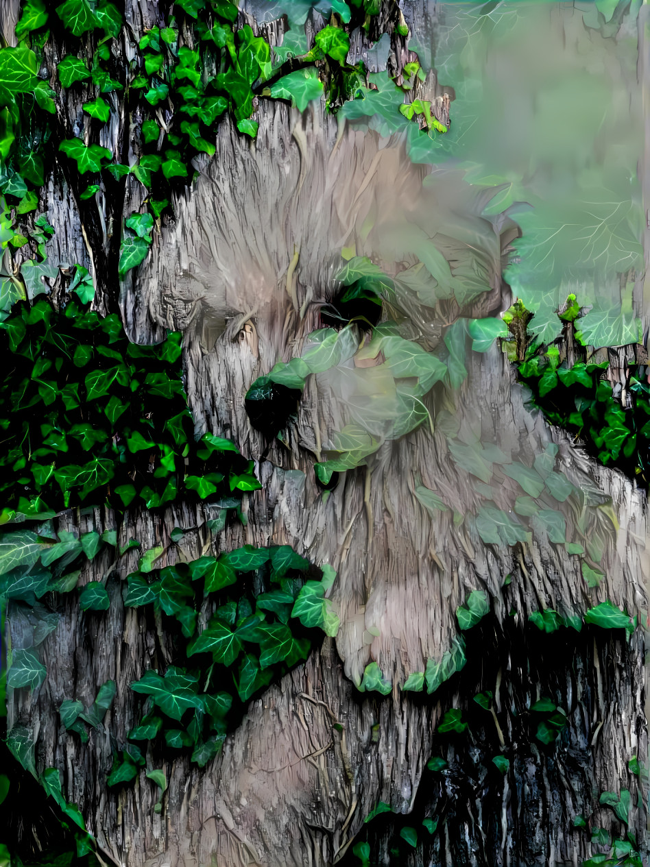 Wood dog