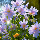 Colorful blue and purple flowers with yellow centers in green foliage setting