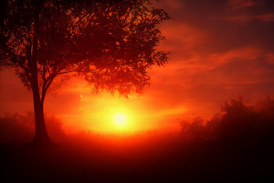 Solitary Tree Silhouetted Against Vibrant Sunrise Sky