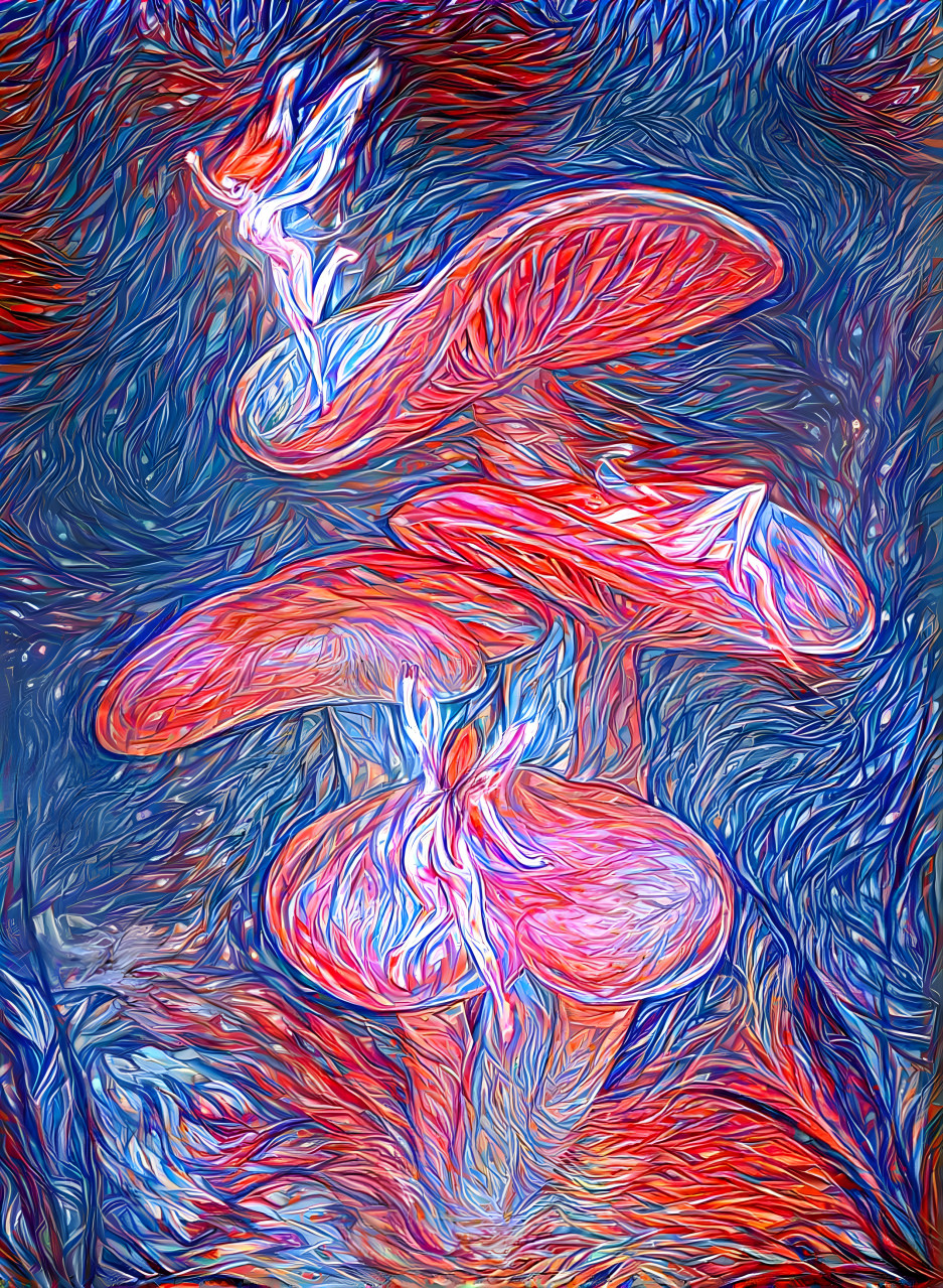 Fairies on Shrooms