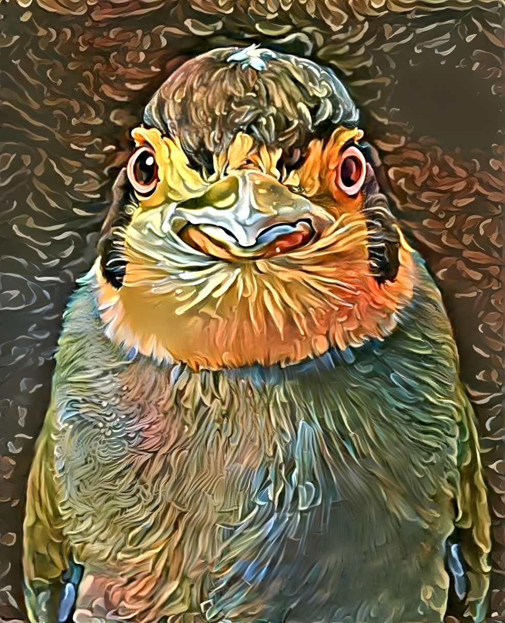 Elvis Bird