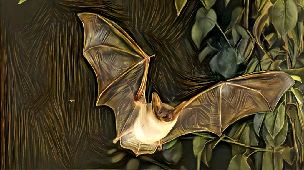 Bat