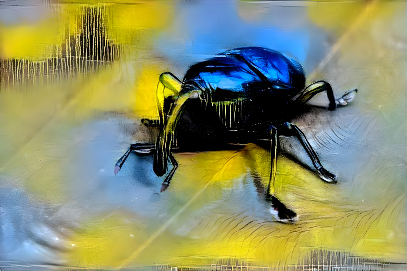 Weevil