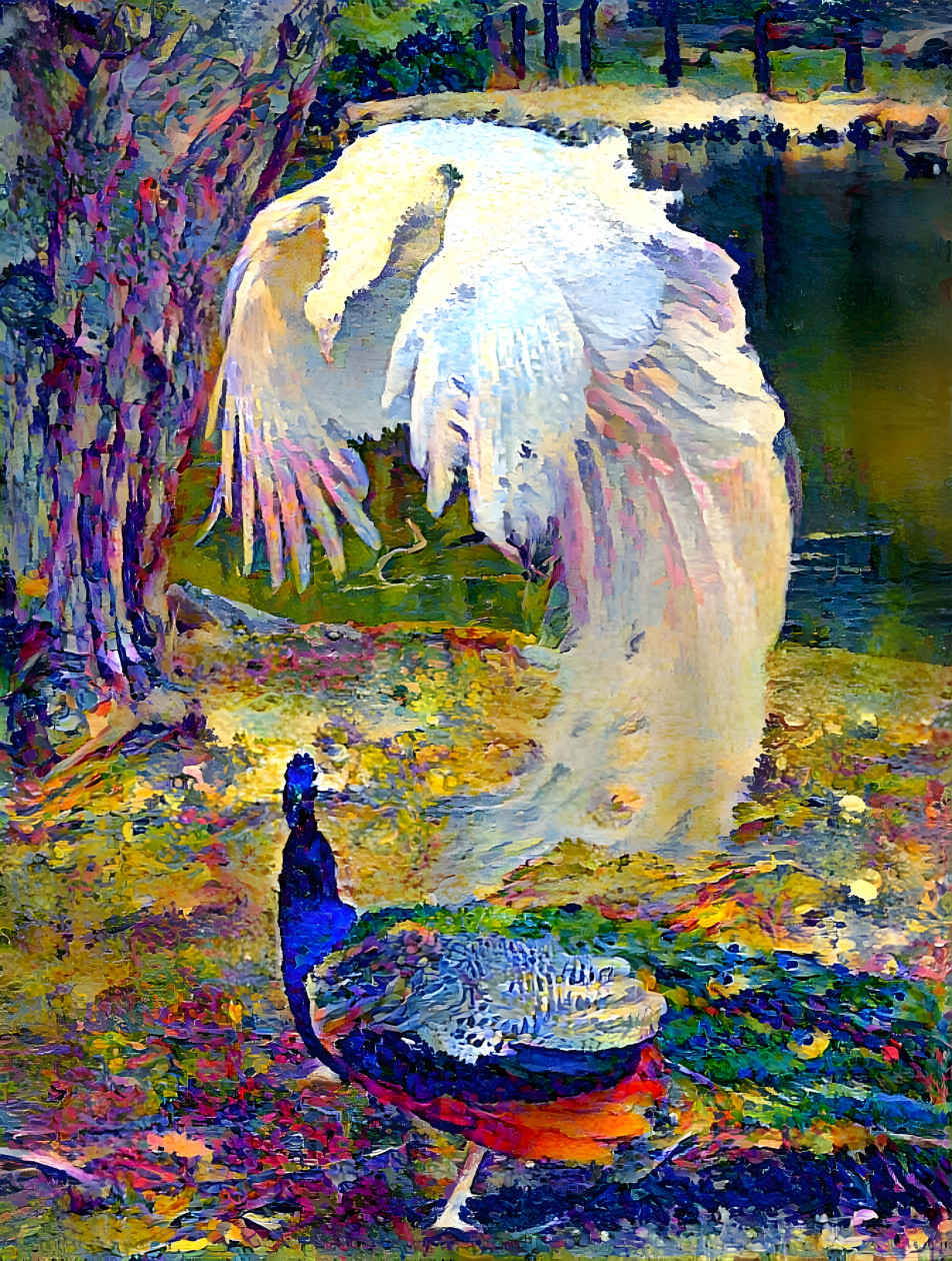 Peacocks