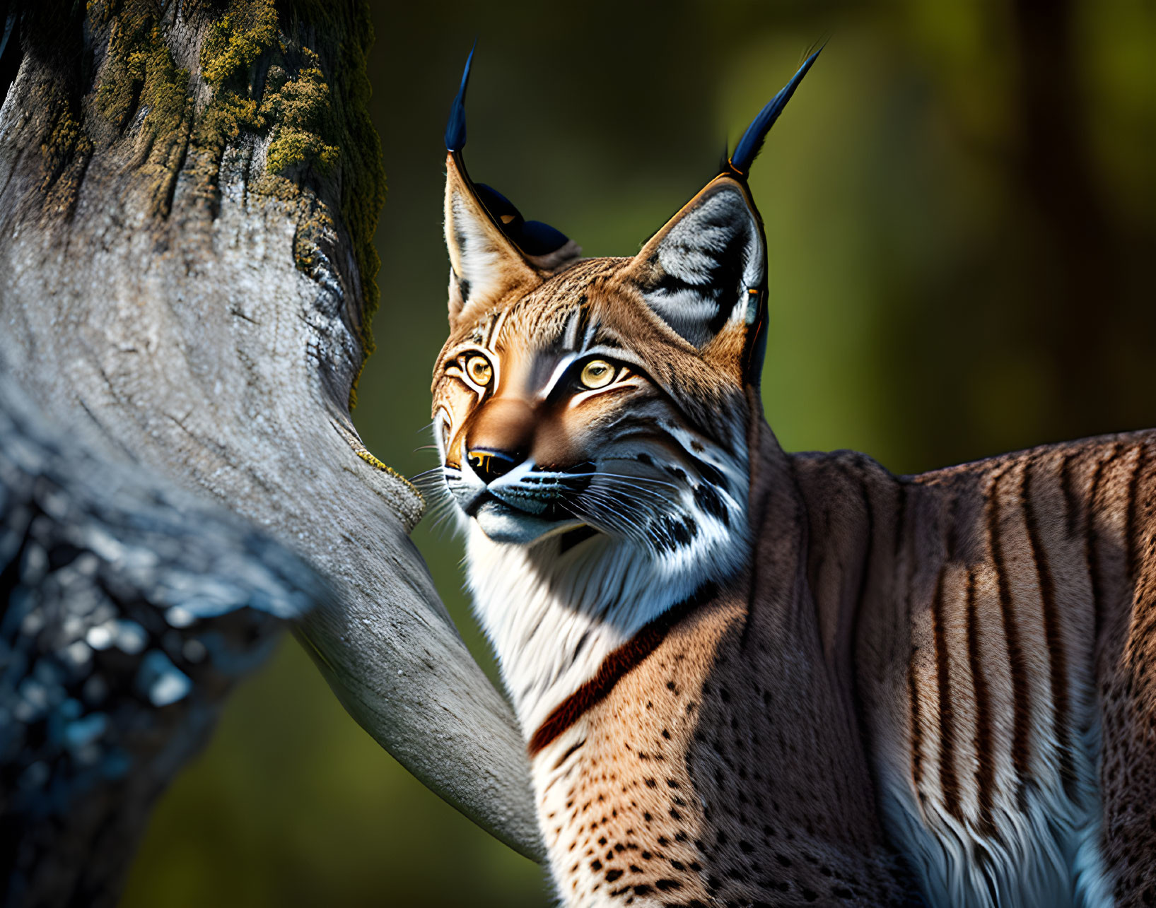 Detailed digital artwork of lynx with striking markings against forest backdrop