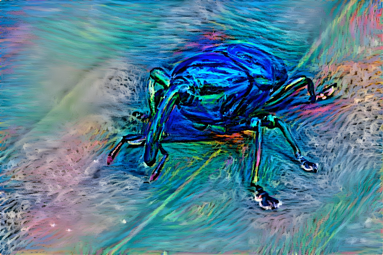 Weevil