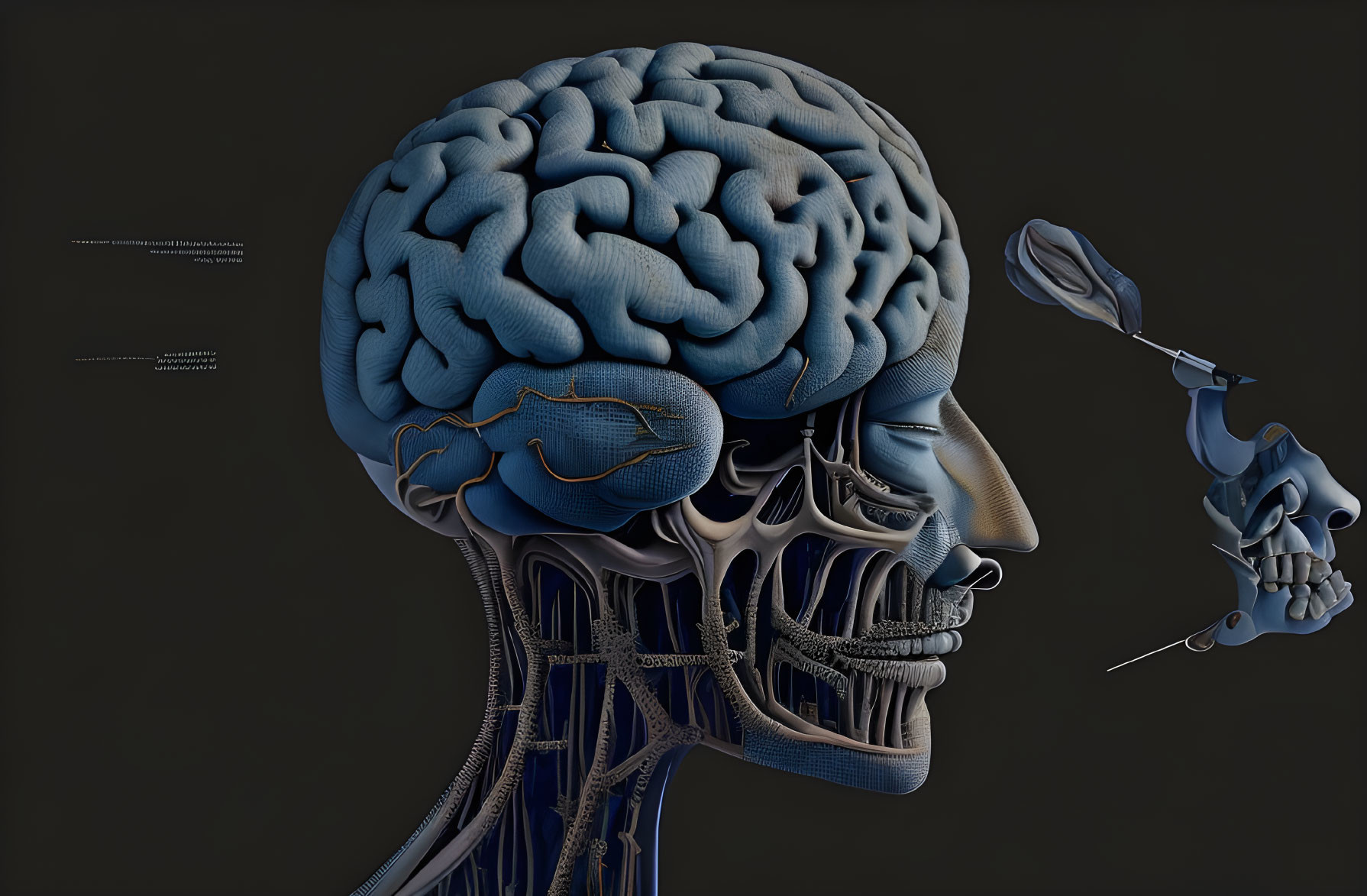 Detailed Human Head Anatomy with Brain, Skull, and Vascular System on Dark Background