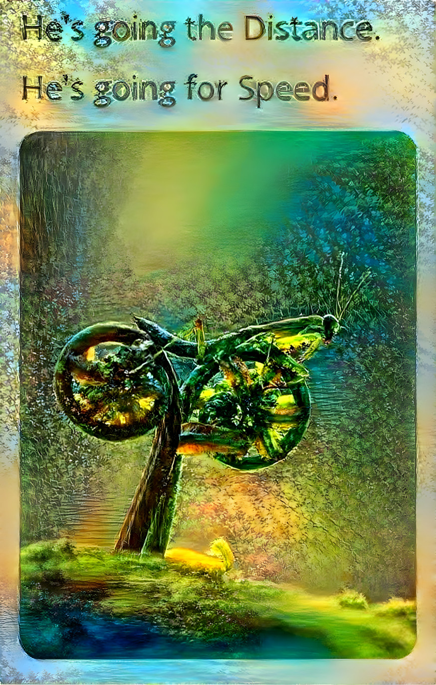 Biker Grashopper