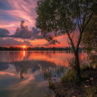 Intricate tree in fantastical landscape against purple-orange sunset.