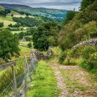 Tranquil Landscape with Winding Path and Green Hills