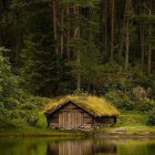 Cozy cottage surrounded by greenery and flowers at twilight