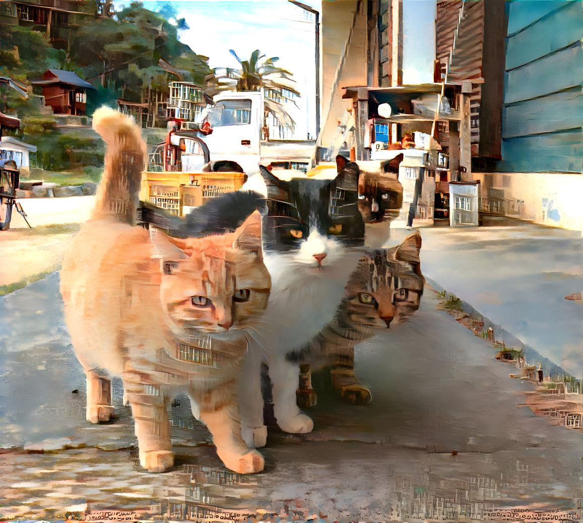 Cat Gang