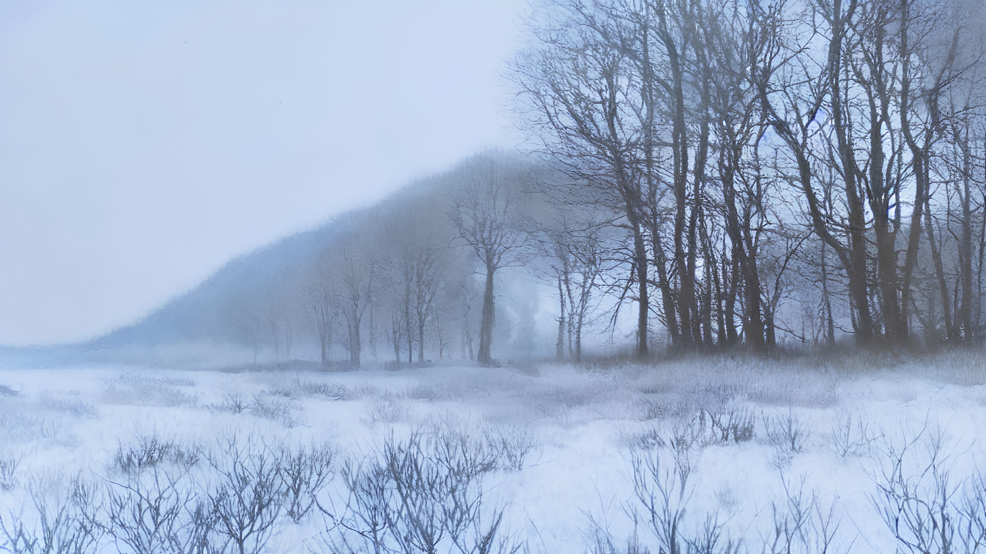 Winter Landscape: Snow-covered Field, Bare Trees, Misty Hills