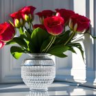 Vibrant flowers in decorative vases with sunlight shadows and reflections