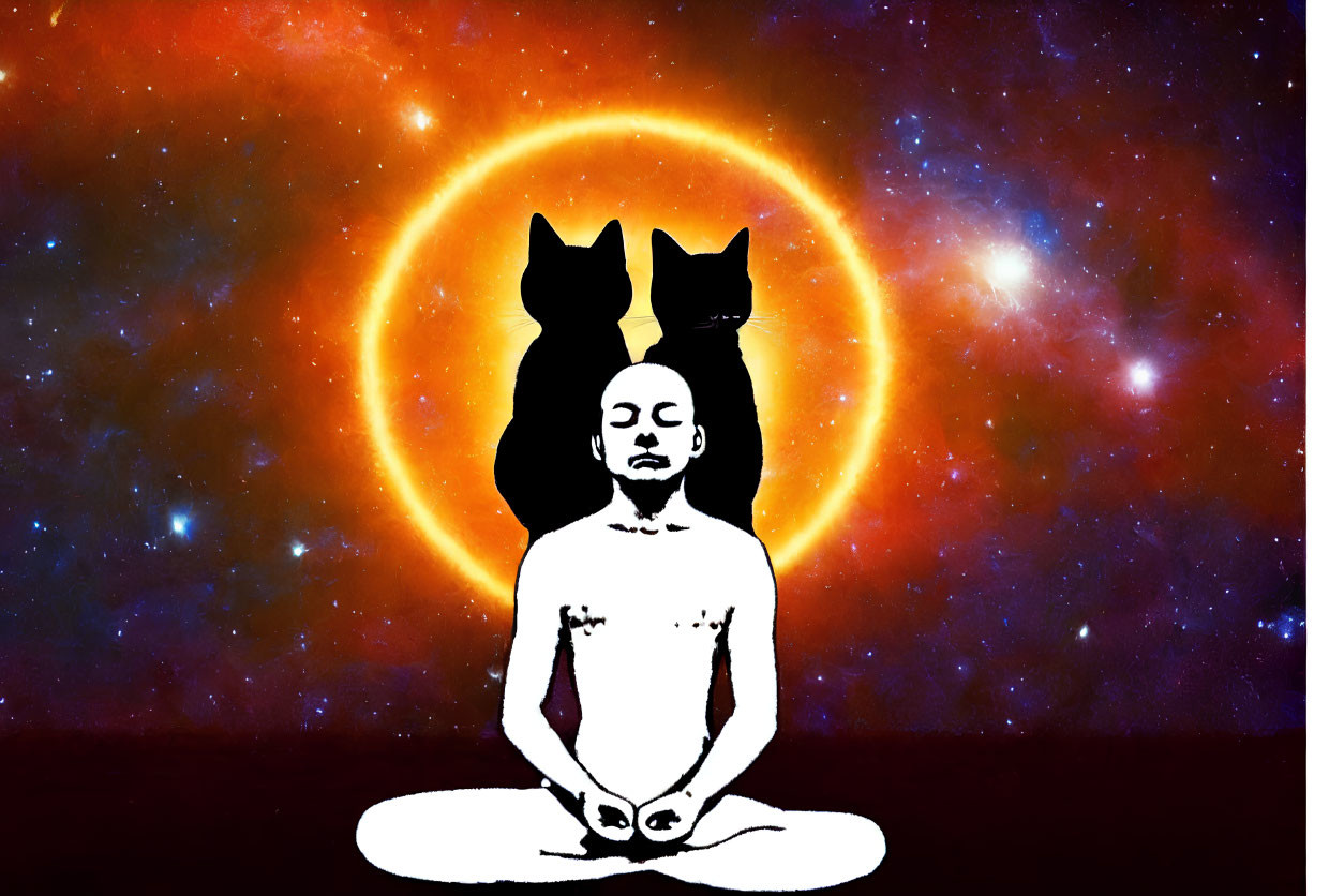 Serene person meditating with cat silhouettes in cosmic setting