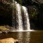 Surreal artwork of golden fish leaping from waterfall