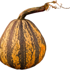 Speckled orange and green pumpkin on wooden doorstep