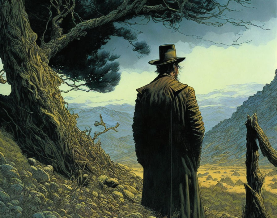 Figure in black coat and hat under tree, overlooking vast landscape with mountains.