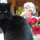 Two painted cats beside a vase of red roses on a patterned surface