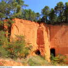 Orange-Red Hoodoo Rock Formations with Green Pines in Vibrant Landscape