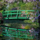 Tranquil Garden Scene with Pond and Autumn Colors